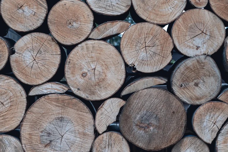 Stacked timber logs — feedstock for the pulp circuit